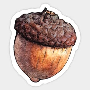 Watercolor Acorn Sticker